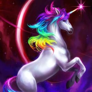 Meet your Posher, Charlotte